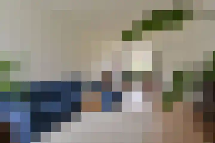 De Wetlaan 53 Zeist thumbnail 4