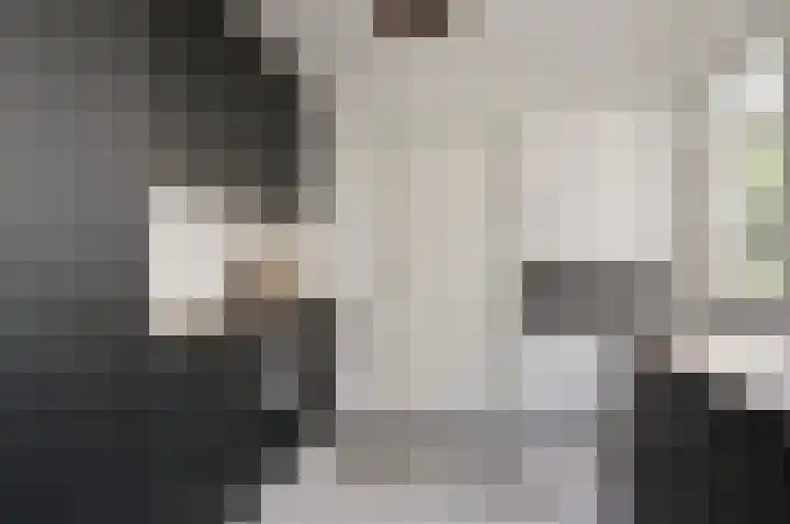De Wetlaan 53 Zeist thumbnail 6