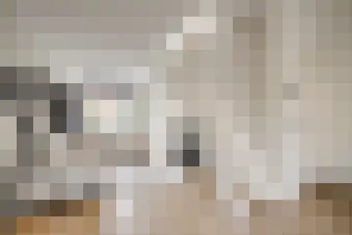 De Wetlaan 69 Zeist thumbnail 10