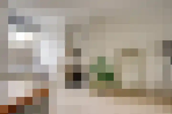 De Wetlaan 69 Zeist thumbnail 12