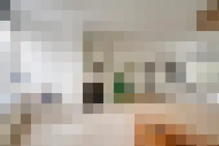 De Wetlaan 69 Zeist thumbnail 13