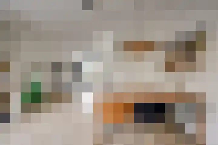De Wetlaan 69 Zeist thumbnail 14