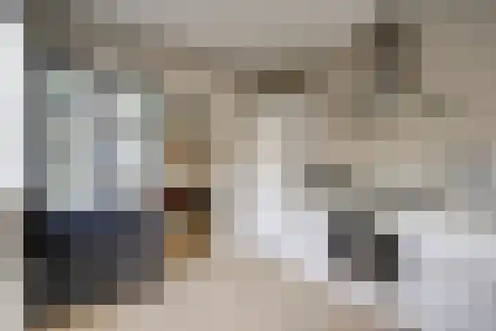 De Wetlaan 69 Zeist thumbnail 18