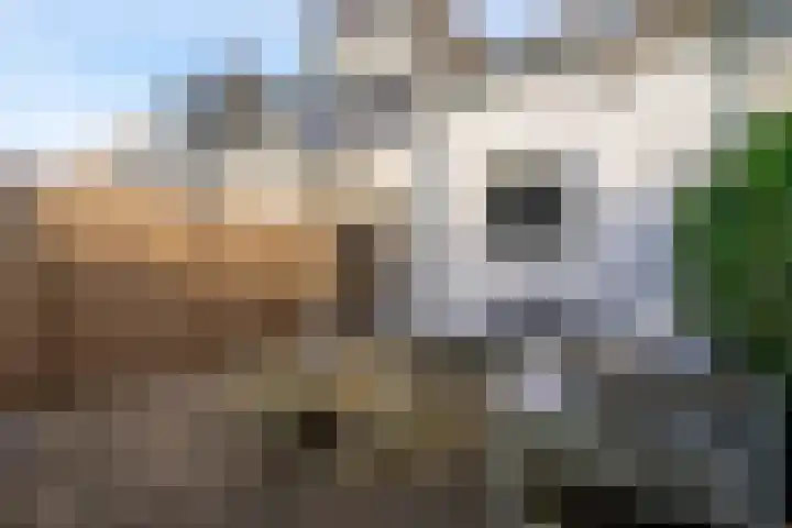 De Wetlaan 69 Zeist thumbnail 21