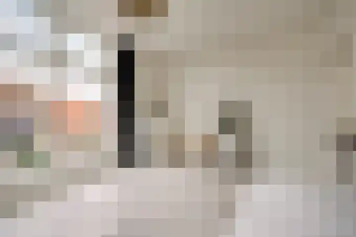 De Wetlaan 69 Zeist thumbnail 29