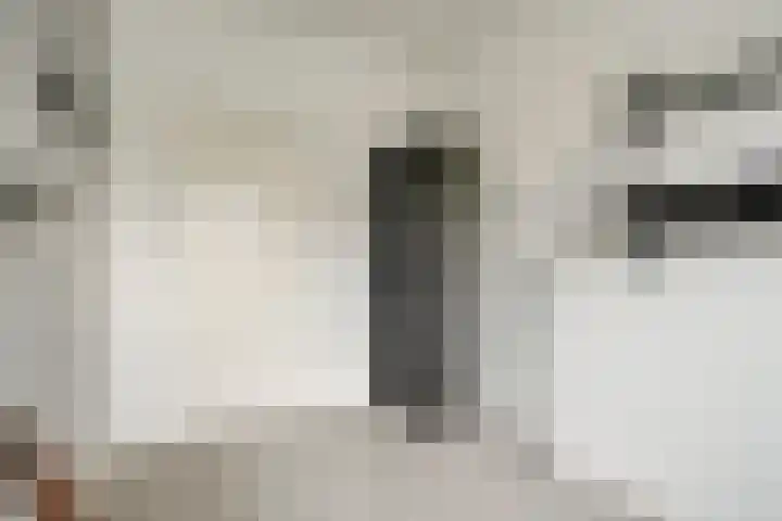 De Wetlaan 69 Zeist thumbnail 33