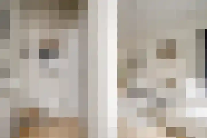 De Wetlaan 69 Zeist thumbnail 4
