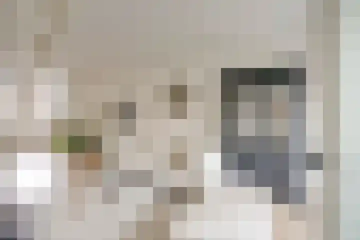 De Wetlaan 69 Zeist thumbnail 5