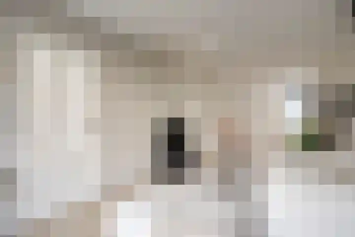 De Wetlaan 69 Zeist thumbnail 6
