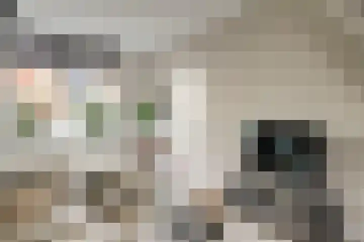 De Wetlaan 69 Zeist thumbnail 8