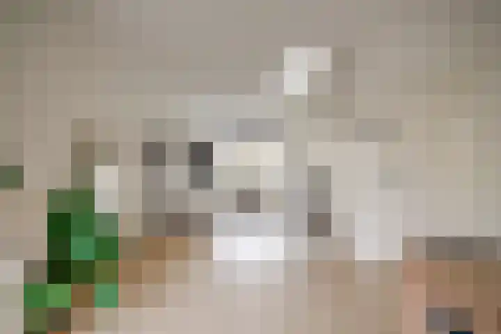 De Wetlaan 69 Zeist thumbnail 9