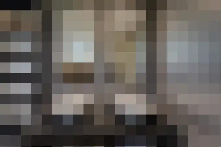 De Wetlaan 76 Zeist thumbnail 32