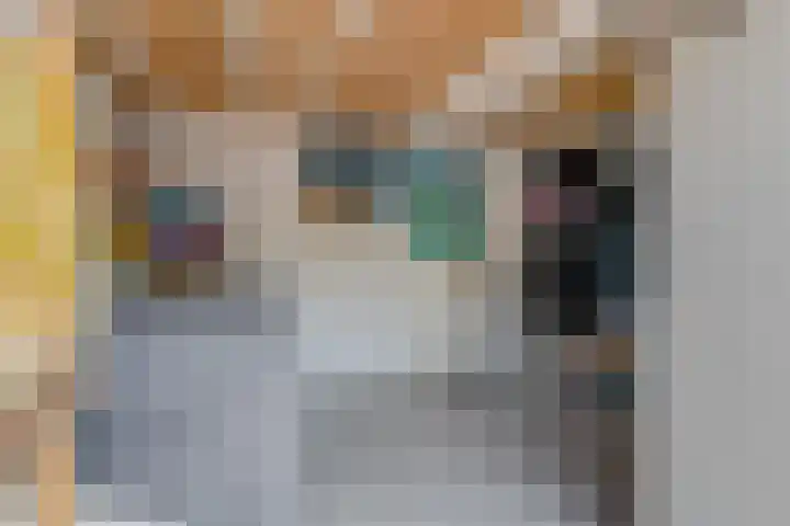 De Wetlaan 76 Zeist thumbnail 38