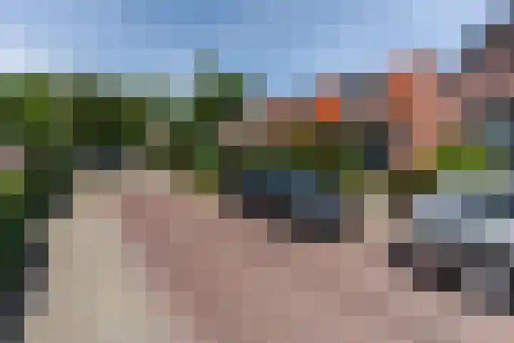 De Wetlaan 76 Zeist thumbnail 4