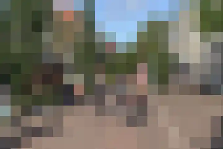 De Wetlaan 76 Zeist thumbnail 43