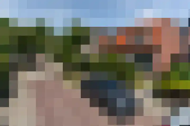 De Wetlaan 76 Zeist thumbnail 5