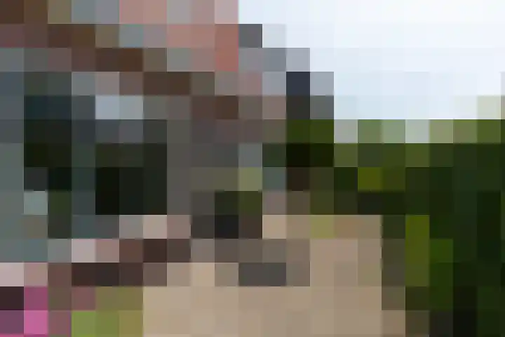 De Wetlaan 76 Zeist thumbnail 7