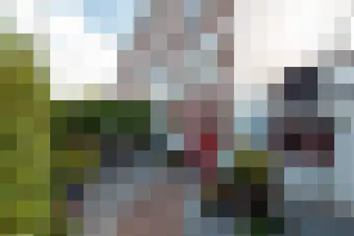 De Wetlaan 77 Zeist thumbnail 4