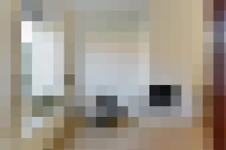 De Wetlaan 77 Zeist thumbnail 8