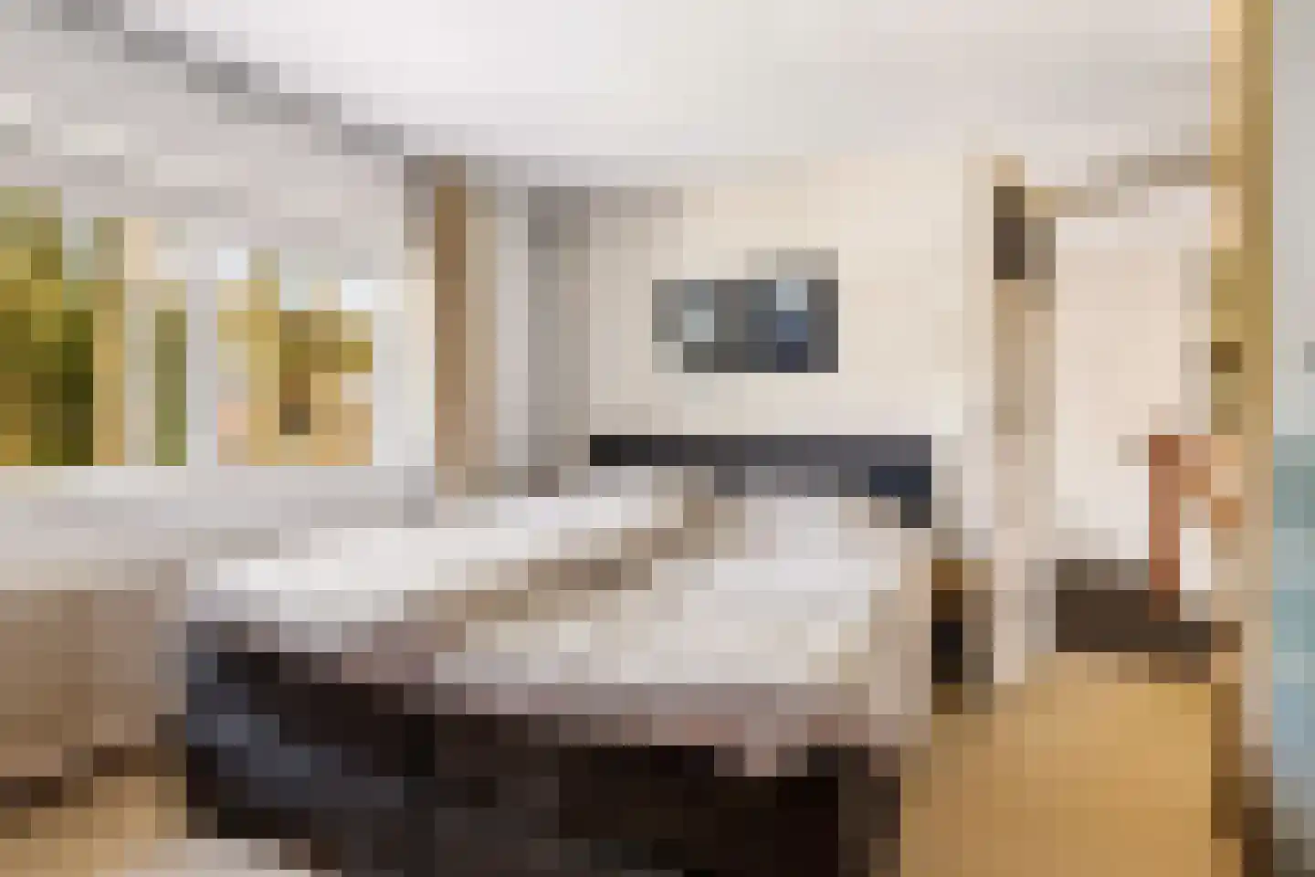 de Wetstein Pfisterlaan 20 Driebergen-Rijsenburg thumbnail 18