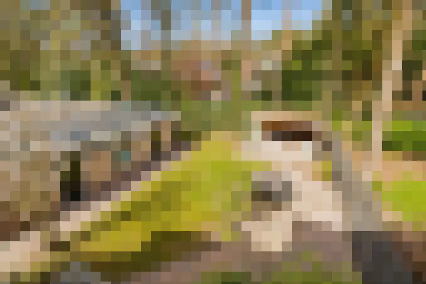 de Wetstein Pfisterlaan 20 Driebergen-Rijsenburg thumbnail 25
