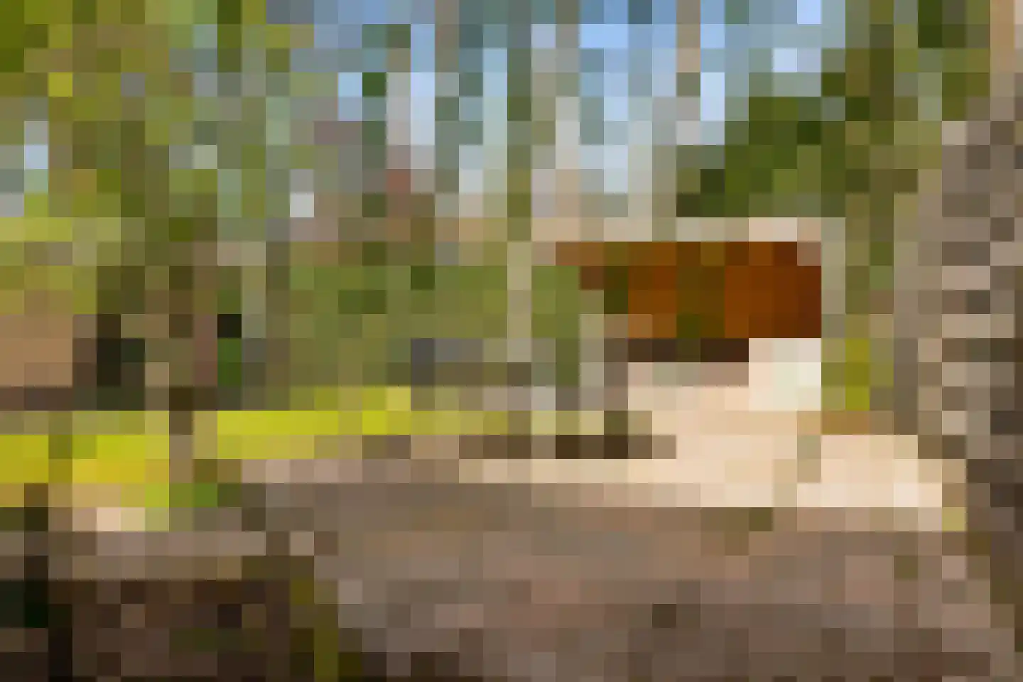 de Wetstein Pfisterlaan 20 Driebergen-Rijsenburg thumbnail 28