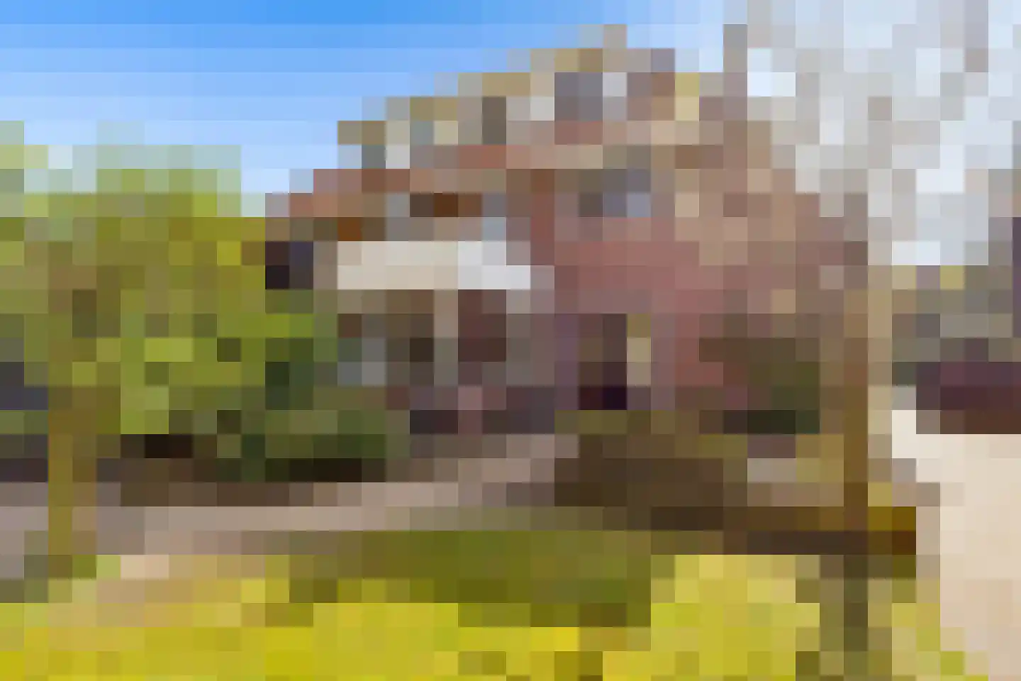 de Wetstein Pfisterlaan 20 Driebergen-Rijsenburg thumbnail 29