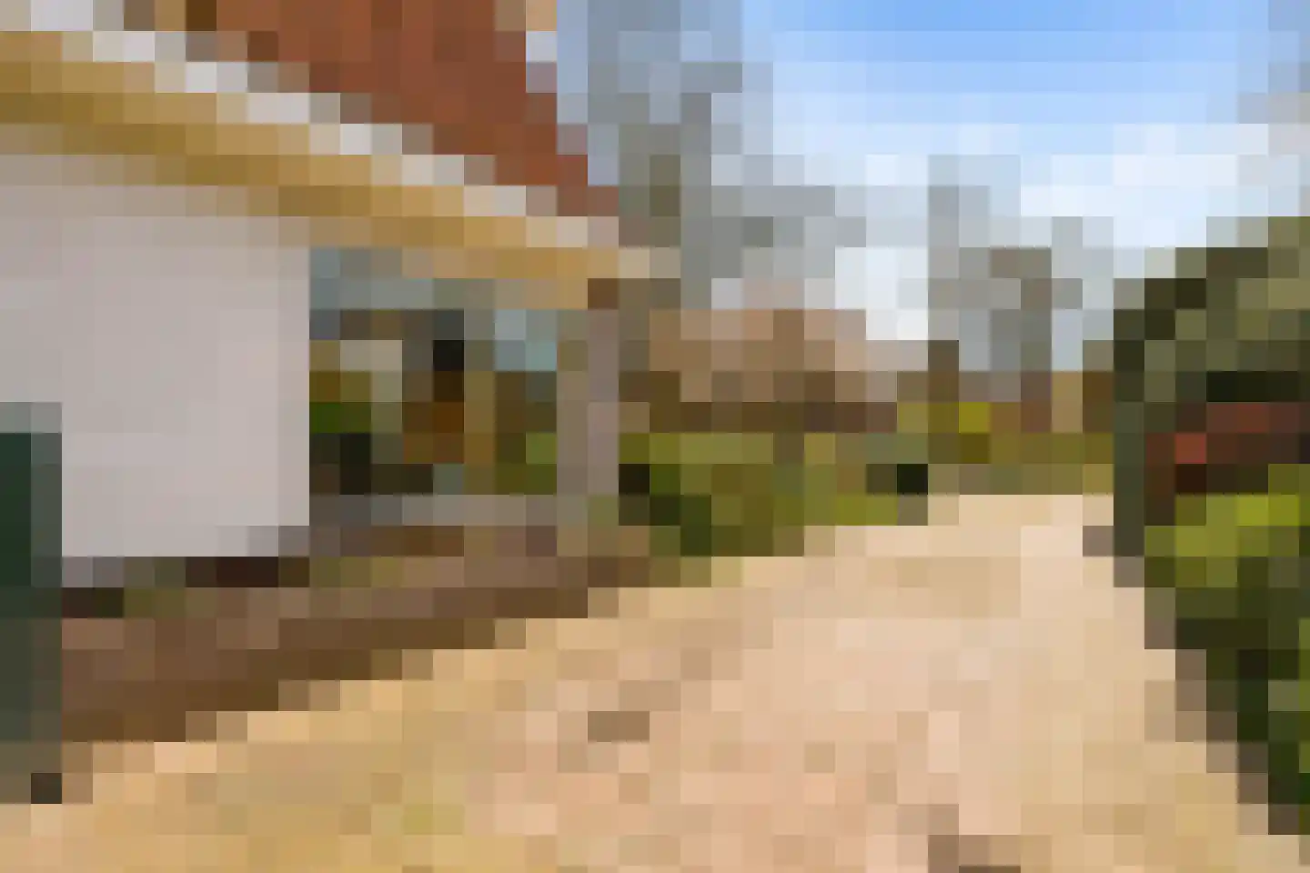 de Wetstein Pfisterlaan 20 Driebergen-Rijsenburg foto 3
