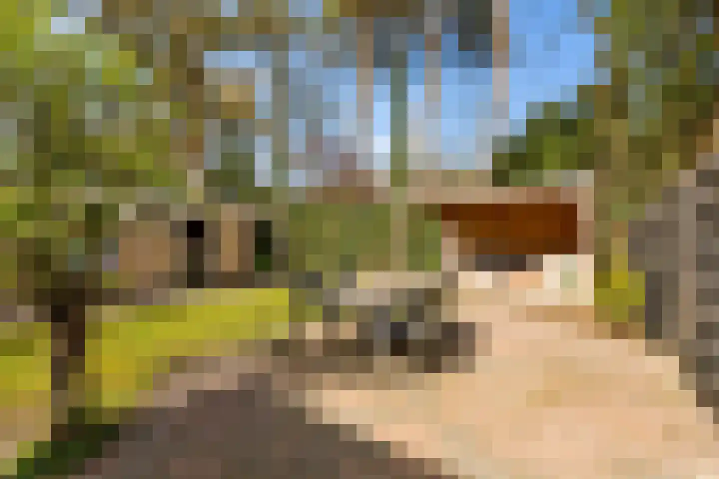 de Wetstein Pfisterlaan 20 Driebergen-Rijsenburg thumbnail 30