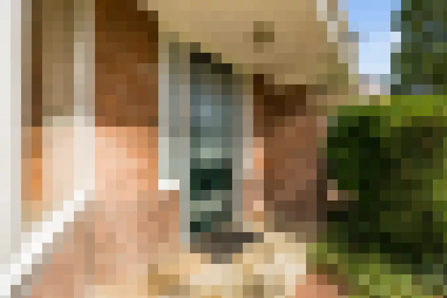 de Wetstein Pfisterlaan 20 Driebergen-Rijsenburg thumbnail 4