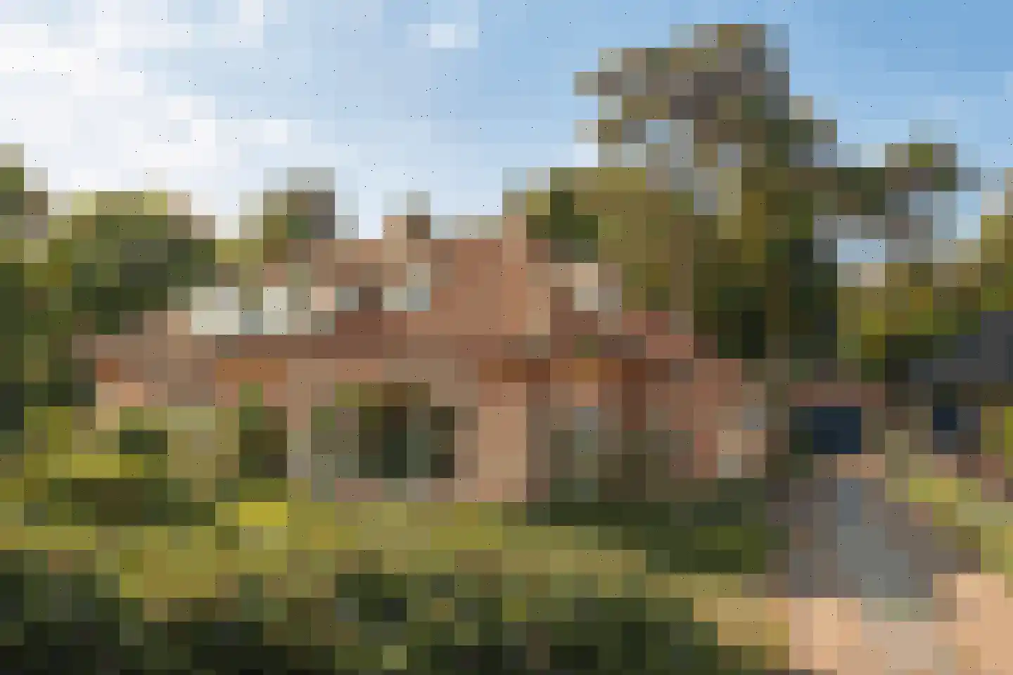 de Wetstein Pfisterlaan 26 Driebergen-Rijsenburg
