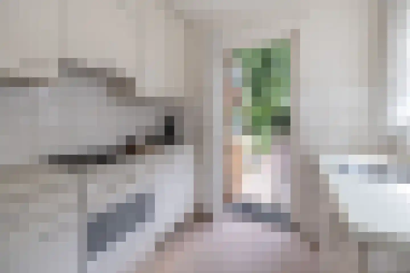 de Wetstein Pfisterlaan 26 Driebergen-Rijsenburg thumbnail 13