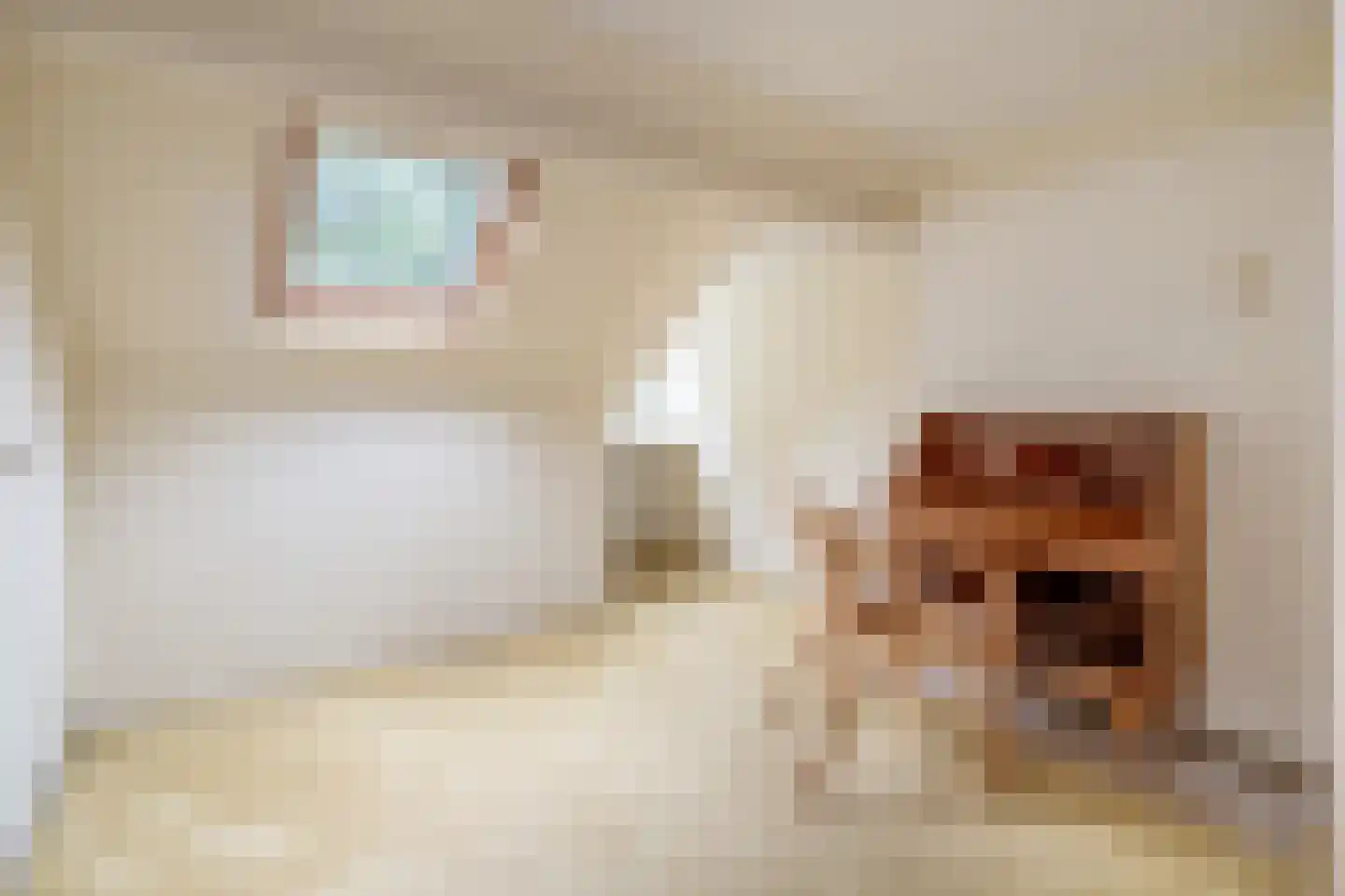de Wetstein Pfisterlaan 26 Driebergen-Rijsenburg thumbnail 21