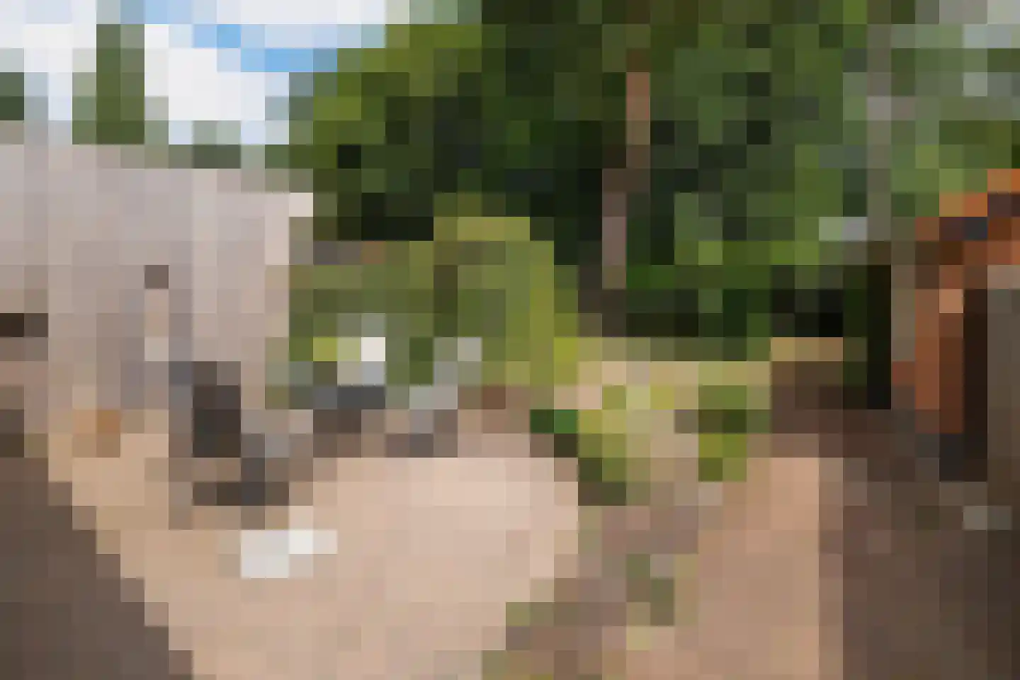 de Wetstein Pfisterlaan 26 Driebergen-Rijsenburg thumbnail 27