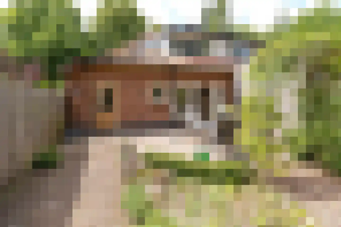 de Wetstein Pfisterlaan 26 Driebergen-Rijsenburg thumbnail 30
