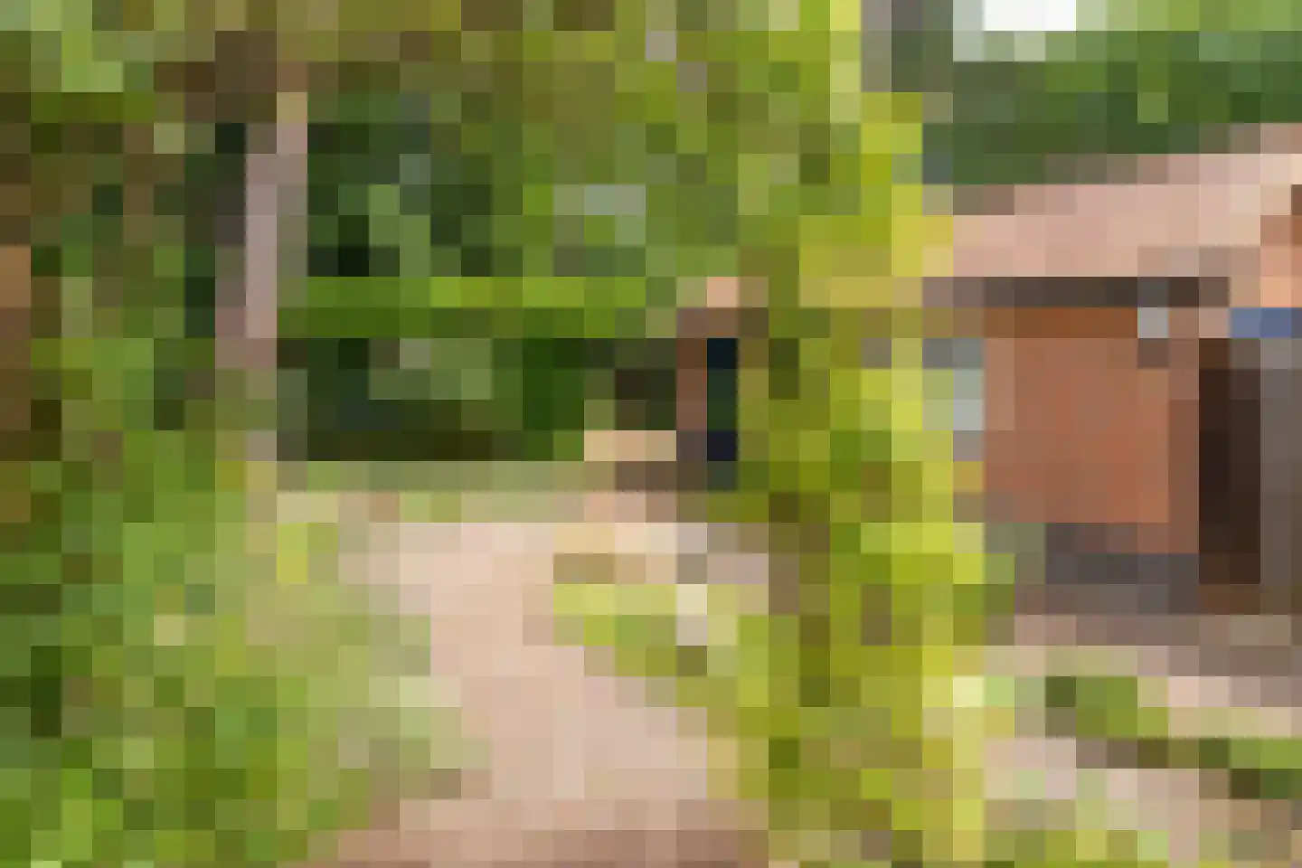 de Wetstein Pfisterlaan 26 Driebergen-Rijsenburg thumbnail 31