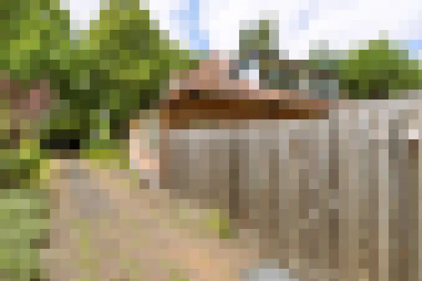 de Wetstein Pfisterlaan 26 Driebergen-Rijsenburg thumbnail 33