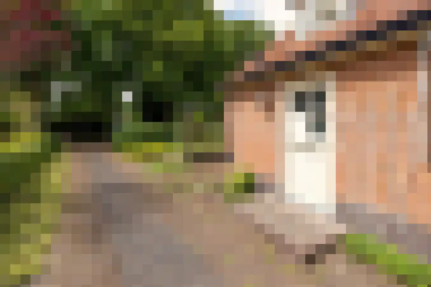de Wetstein Pfisterlaan 26 Driebergen-Rijsenburg thumbnail 34