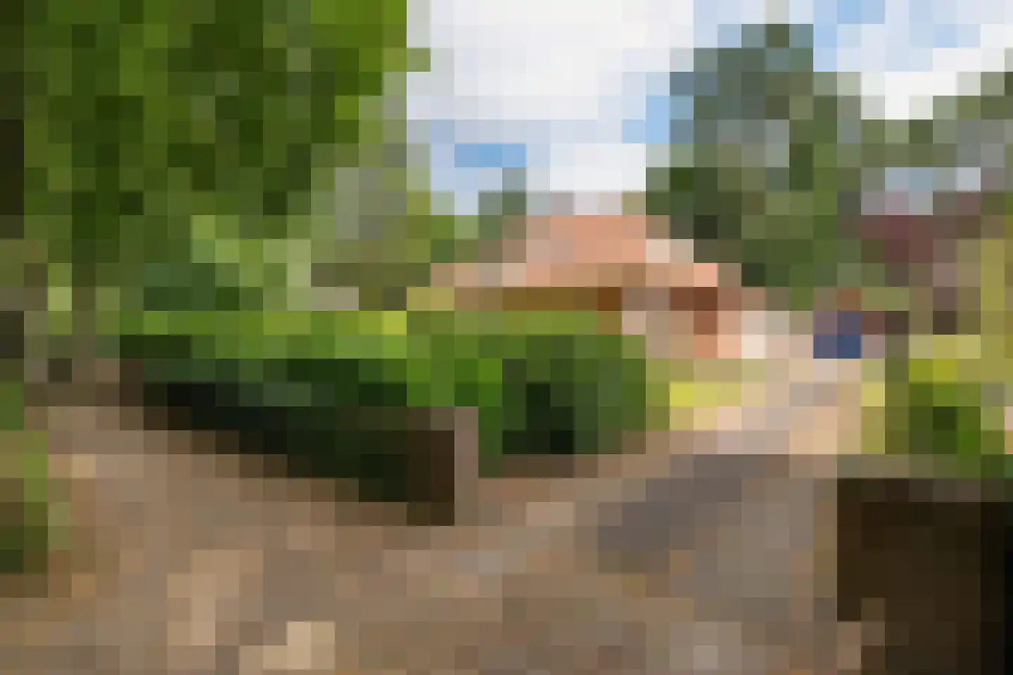 de Wetstein Pfisterlaan 26 Driebergen-Rijsenburg thumbnail 36