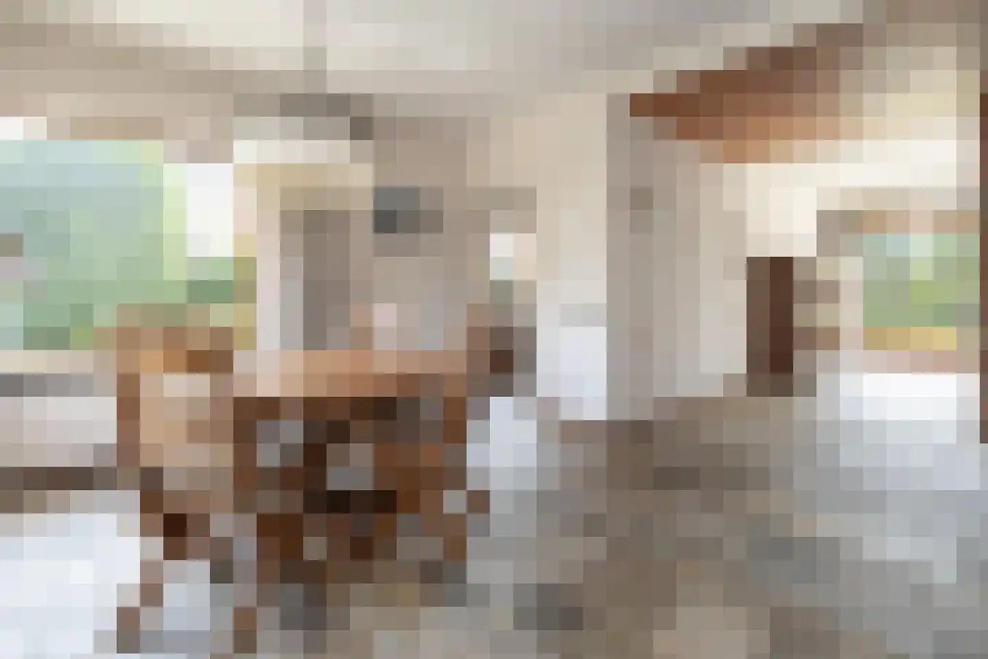 de Wetstein Pfisterlaan 29 Driebergen-Rijsenburg thumbnail 10
