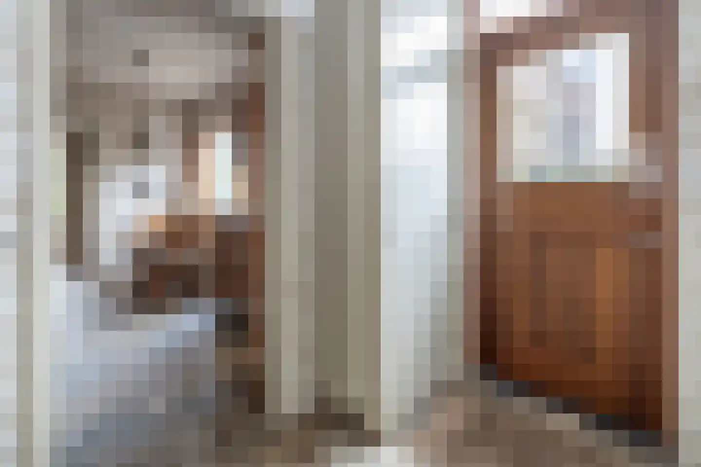 de Wetstein Pfisterlaan 29 Driebergen-Rijsenburg thumbnail 17