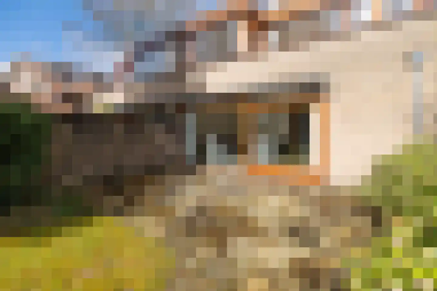 de Wetstein Pfisterlaan 29 Driebergen-Rijsenburg thumbnail 39