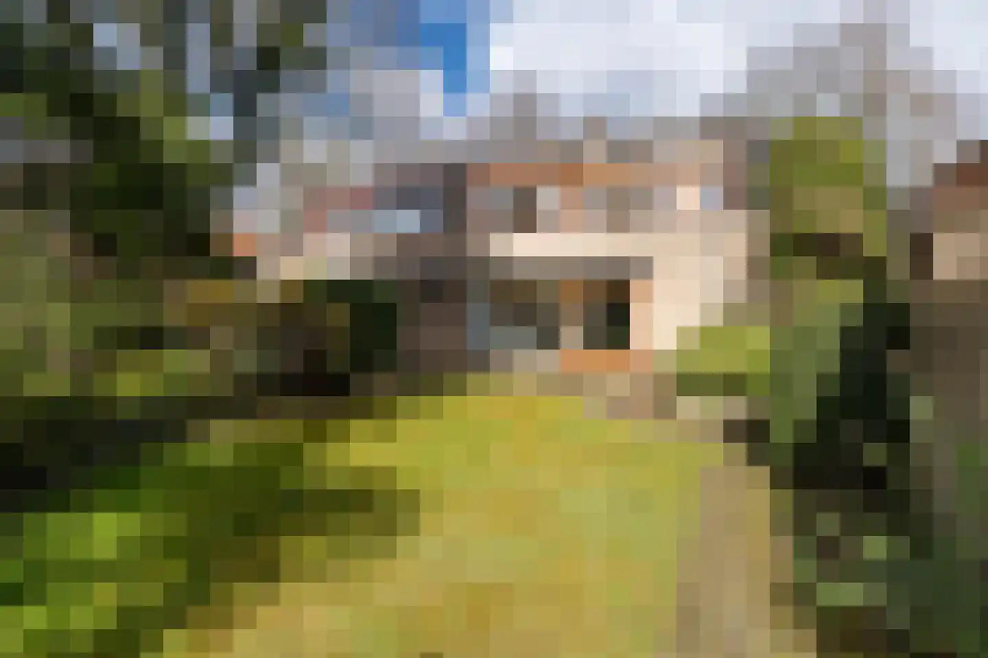 de Wetstein Pfisterlaan 29 Driebergen-Rijsenburg thumbnail 40