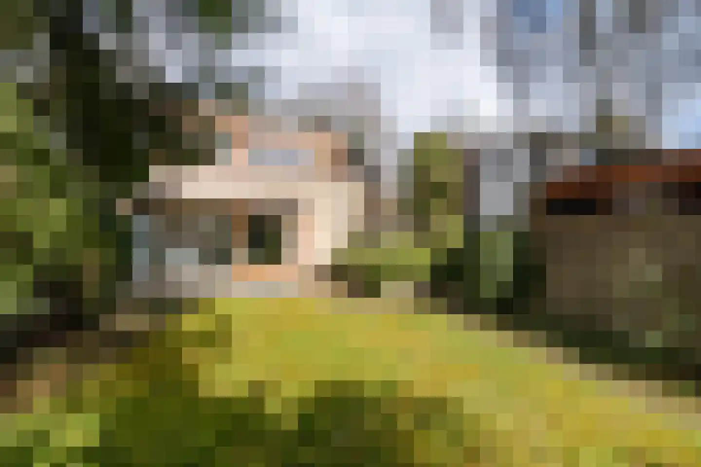 de Wetstein Pfisterlaan 29 Driebergen-Rijsenburg thumbnail 41