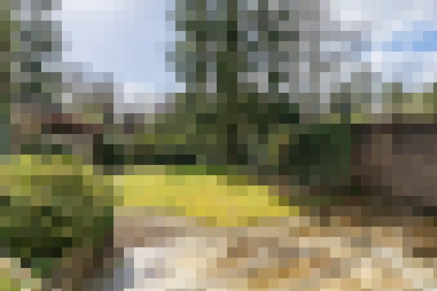 de Wetstein Pfisterlaan 29 Driebergen-Rijsenburg thumbnail 43