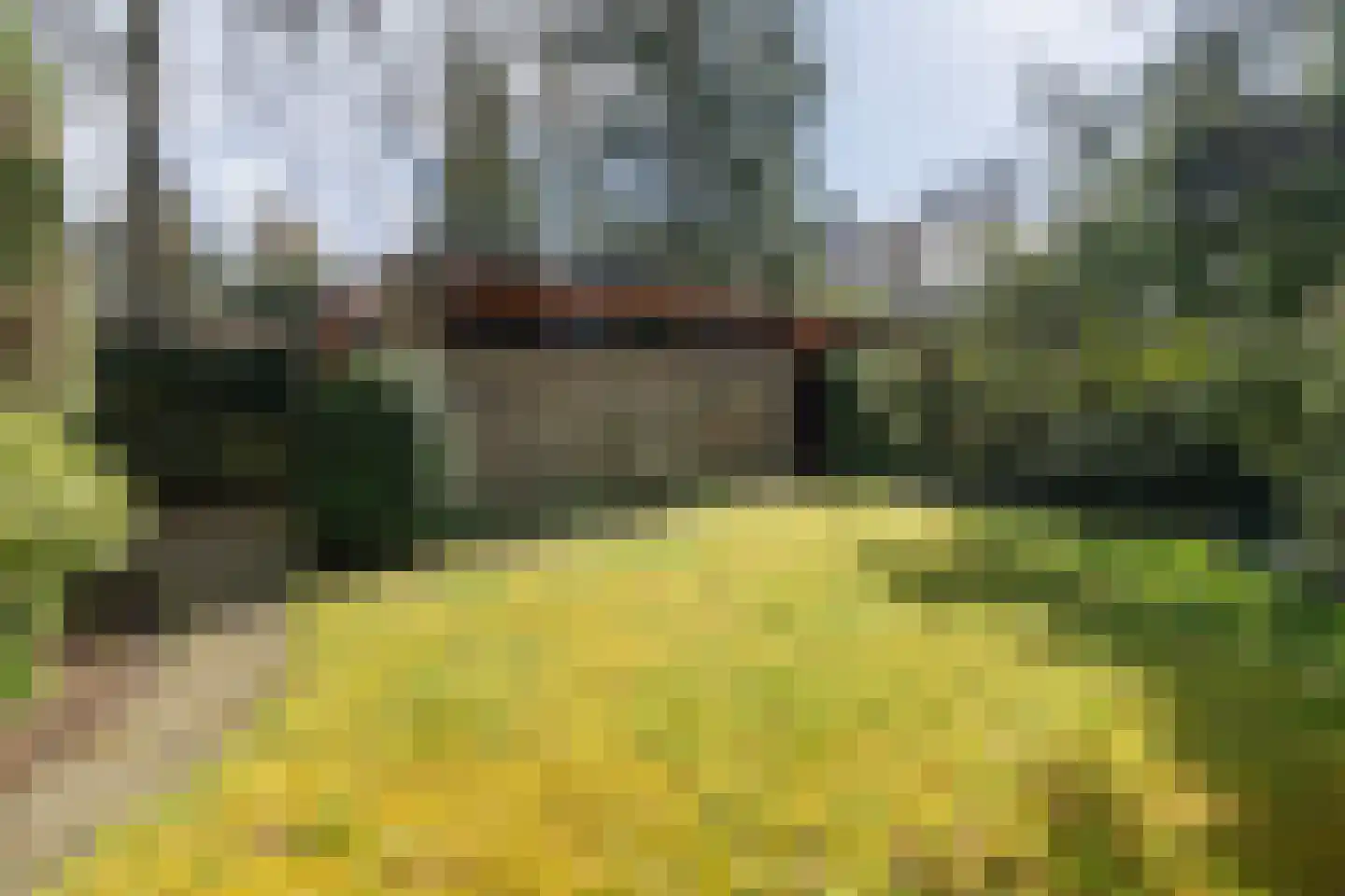 de Wetstein Pfisterlaan 29 Driebergen-Rijsenburg thumbnail 44