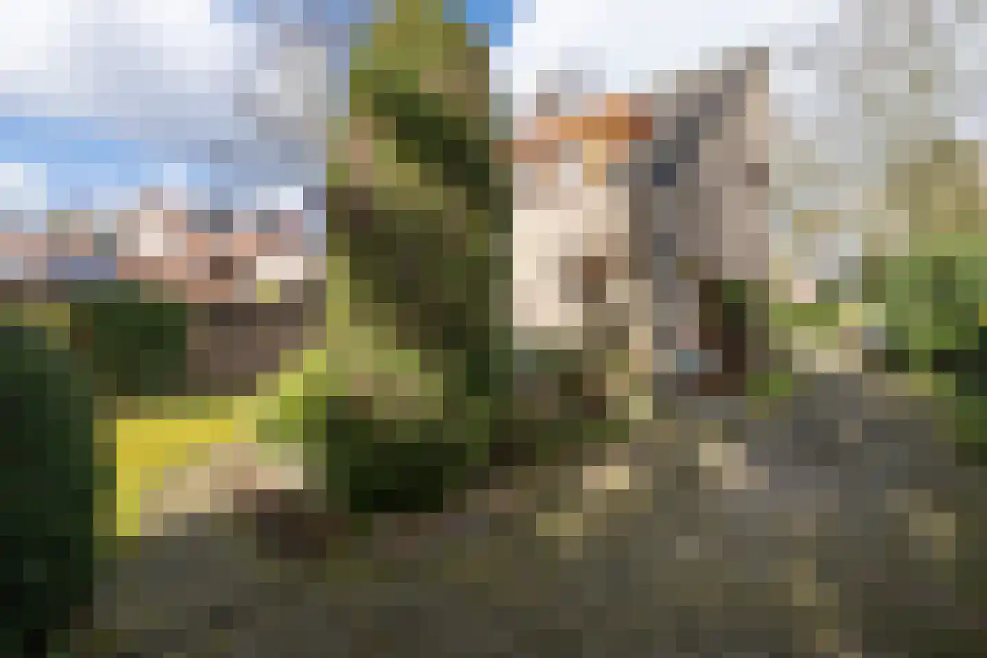 de Wetstein Pfisterlaan 29 Driebergen-Rijsenburg thumbnail 47