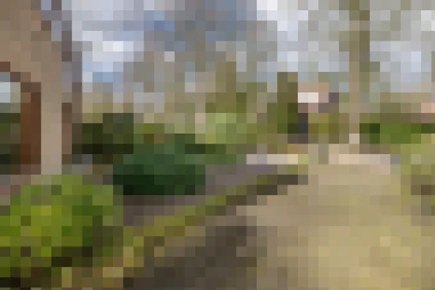 de Wetstein Pfisterlaan 29 Driebergen-Rijsenburg thumbnail 50