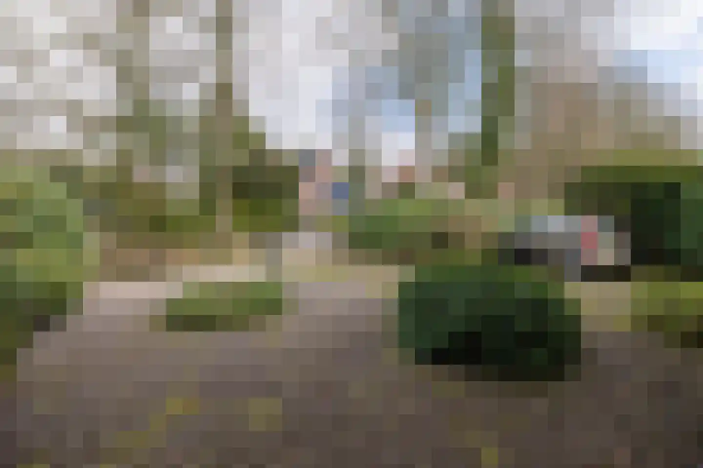 de Wetstein Pfisterlaan 29 Driebergen-Rijsenburg thumbnail 51