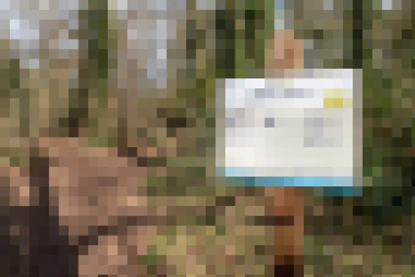 de Wetstein Pfisterlaan 29 Driebergen-Rijsenburg thumbnail 56
